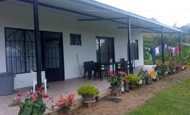 VENDO  O PERMUTO FINCA PRODUCTIVA