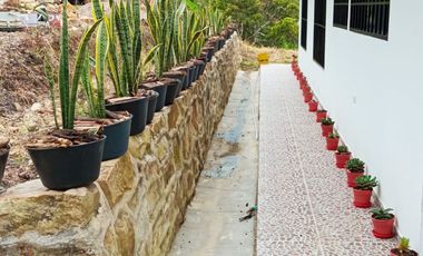 VENDO  O PERMUTO FINCA PRODUCTIVA
