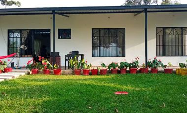 VENDO  O PERMUTO FINCA PRODUCTIVA