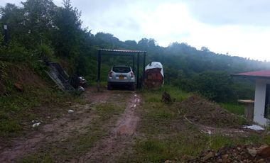 VENDO  O PERMUTO FINCA PRODUCTIVA