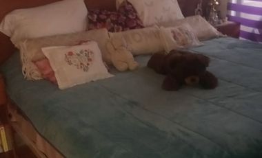 SE RENTA casa en Punto Verde para oficinas, escuelita etc...
