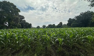 TERRENO EN VENTA EN YAUTEPEC, MORELOS
