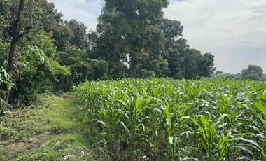 TERRENO EN VENTA EN YAUTEPEC, MORELOS