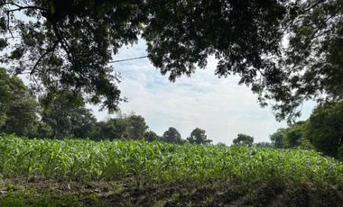 TERRENO EN VENTA EN YAUTEPEC, MORELOS