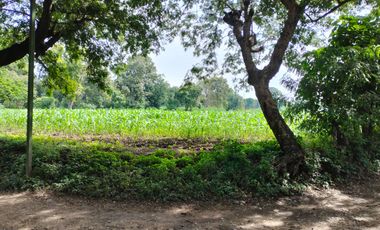 TERRENO EN VENTA EN YAUTEPEC, MORELOS