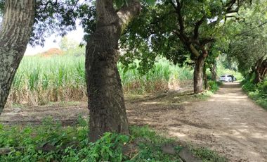 TERRENO EN VENTA EN YAUTEPEC, MORELOS