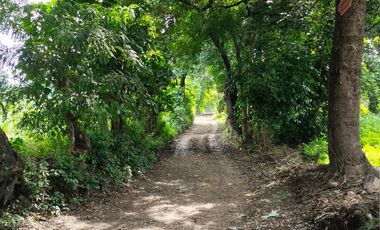 TERRENO EN VENTA EN YAUTEPEC, MORELOS