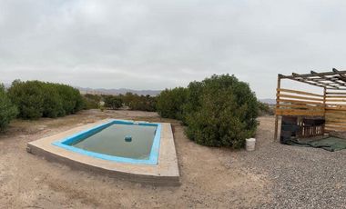 VENDE HERMOSA PARCELA DE AGRADO EN VALLE FERTIL, COPIAPÓ
