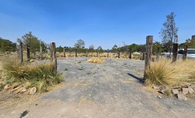 TERRENO EN RENTA DE 10,000 M2, FINCA LA ARBOLADA, APAPATARO HUIMILPAN QUERETARO.