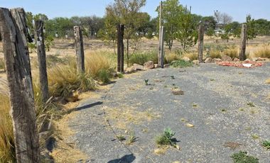 TERRENO EN RENTA DE 10,000 M2, FINCA LA ARBOLADA, APAPATARO HUIMILPAN QUERETARO.