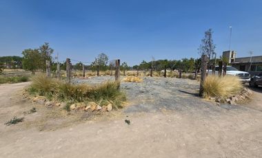 TERRENO EN RENTA DE 10,000 M2, FINCA LA ARBOLADA, APAPATARO HUIMILPAN QUERETARO.