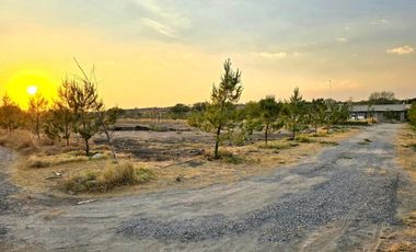 TERRENO EN RENTA DE 10,000 M2, FINCA LA ARBOLADA, APAPATARO HUIMILPAN QUERETARO.