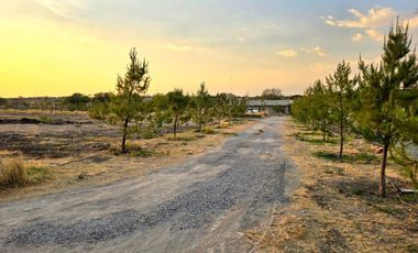 TERRENO EN RENTA DE 10,000 M2, FINCA LA ARBOLADA, APAPATARO HUIMILPAN QUERETARO.