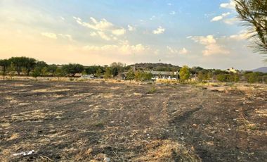 TERRENO EN RENTA DE 10,000 M2, FINCA LA ARBOLADA, APAPATARO HUIMILPAN QUERETARO.