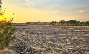 TERRENO EN RENTA DE 10,000 M2, FINCA LA ARBOLADA, APAPATARO HUIMILPAN QUERETARO.