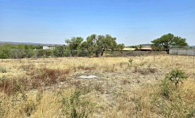 TERRENO EN RENTA DE 10,000 M2, FINCA LA ARBOLADA, APAPATARO HUIMILPAN QUERETARO.