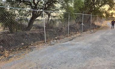 TERRENO EN RENTA DE 10,000 M2, FINCA LA ARBOLADA, APAPATARO HUIMILPAN QUERETARO.
