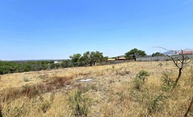 TERRENO EN RENTA DE 10,000 M2, FINCA LA ARBOLADA, APAPATARO HUIMILPAN QUERETARO.