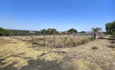 TERRENO EN RENTA DE 10,000 M2, FINCA LA ARBOLADA, APAPATARO HUIMILPAN QUERETARO.