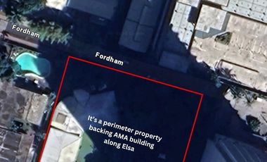 LOT FOR SALE IN WACK WACK MANDALUYONG