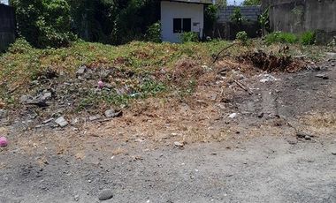 Lot For Rent in San Isidro Paranaque 380sqm
