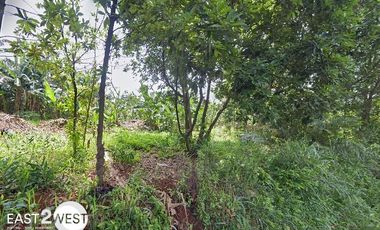 Dijual Kavling Jalan Babakan Indah Desa Nagrak Gunung Putri Bogor Murah Luas Lokasi Strategis