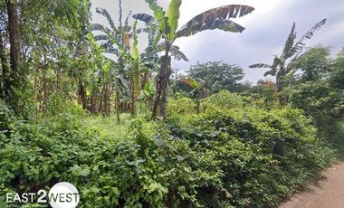 Dijual Kavling Jalan Babakan Indah Desa Nagrak Gunung Putri Bogor Murah Luas Lokasi Strategis