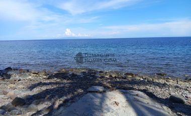 BEACH PROPERTY FOR SALE IN DAUIN