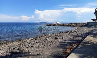 BEACH PROPERTY FOR SALE IN DAUIN