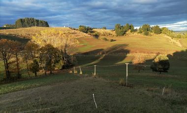 HERMOSO CAMPO AGRICOLA CON VISTA A LOS VOLCANES