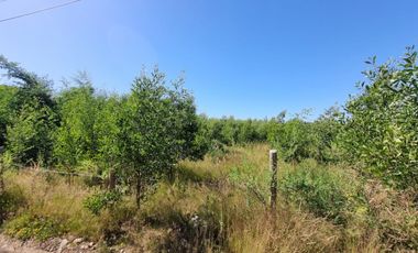 Parcela Sector Vuelta la Culebra Valdivia