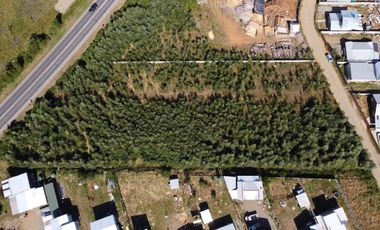 Parcela Sector Vuelta la Culebra Valdivia