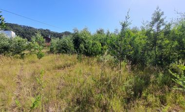 Parcela Sector Vuelta la Culebra Valdivia