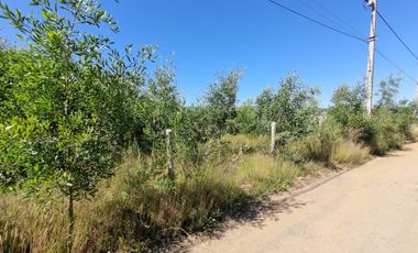 Parcela Sector Vuelta la Culebra Valdivia