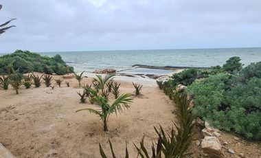 Departamento amueblado en renta en Chicxulub Puerto, Progreso.