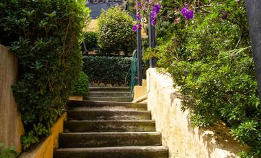 Casa en venta en Paseos del Bosque, dentro de fraccionamiento con jardín