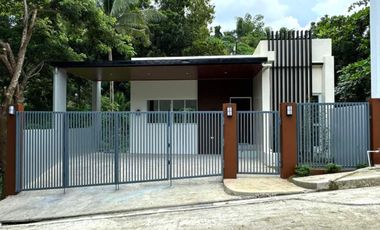 Brand New Multi-level Modern House in Consolacion Cebu