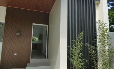 Brand New Multi-level Modern House in Consolacion Cebu