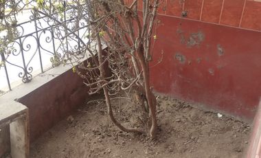 SE VENDE TERRENO EN ESQUINA EN COMAS 259M2
