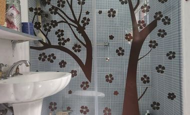 CASA EN VENTA EN AMPLIACION TEPEPAN, XOCHIMILCO