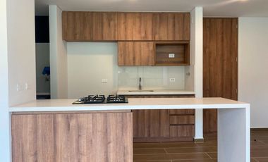 46514 Apartamento en arriendo en el sector El Trianon