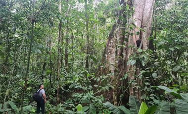 Terreno de 24 Hectáreas con Potencial Ecoturístico a 40 minutos de Tarapoto.