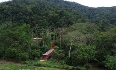 Terreno de 24 Hectáreas con Potencial Ecoturístico a 40 minutos de Tarapoto.