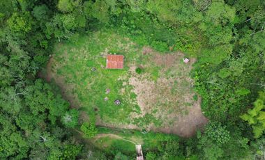 Terreno de 24 Hectáreas con Potencial Ecoturístico a 40 minutos de Tarapoto.