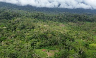 Terreno de 24 Hectáreas con Potencial Ecoturístico a 40 minutos de Tarapoto.