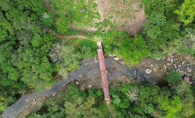 Terreno de 24 Hectáreas con Potencial Ecoturístico a 40 minutos de Tarapoto.