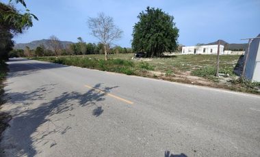 1-0-0 Rai | Square Shaped Home Plot!  Located Near Black Mountain Golf