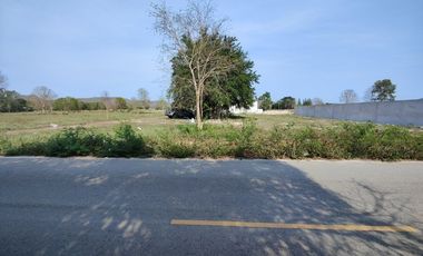 1-0-0 Rai | Square Shaped Home Plot!  Located Near Black Mountain Golf