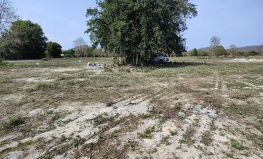 1-0-0 Rai | Square Shaped Home Plot!  Located Near Black Mountain Golf