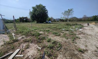 1-0-0 Rai | Square Shaped Home Plot!  Located Near Black Mountain Golf